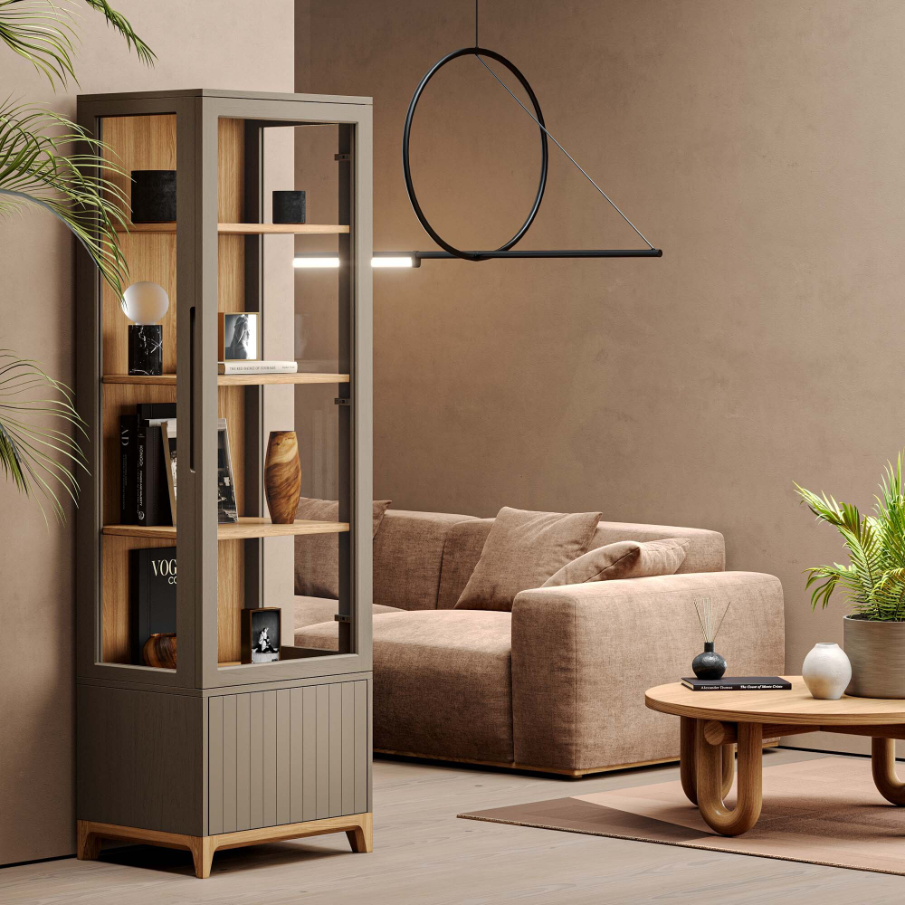 Узкая витрина Case CS161