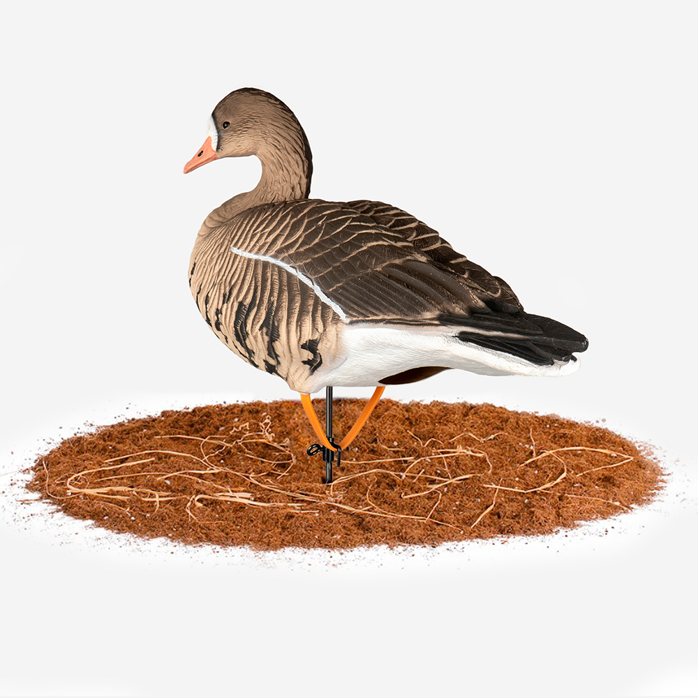 Белолобый гусь Duck Mania "ALFA"