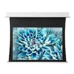 Экран для проектора Viewscreen Annex HT-MI123-16:10-WW5-AACW