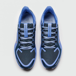 кроссовки Nike Air Zoom Pegasus 41 Gtx Cobalt FQ1357-400