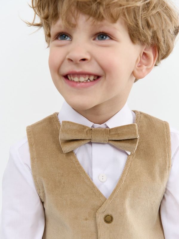 Галстук-бабочка 