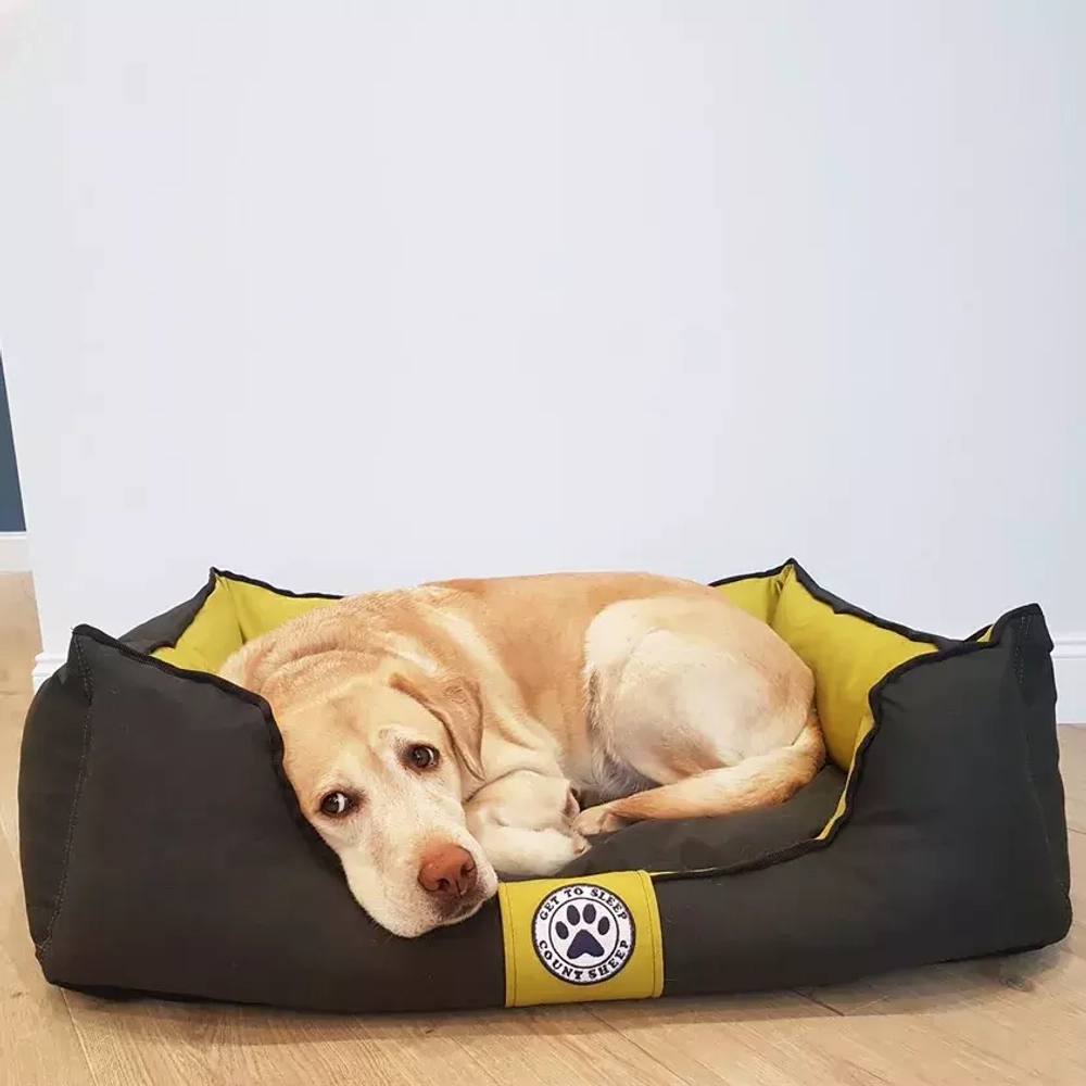 Лежанка для средней собаки разборная размер L горчичная Царь-лежанка Lapalandia