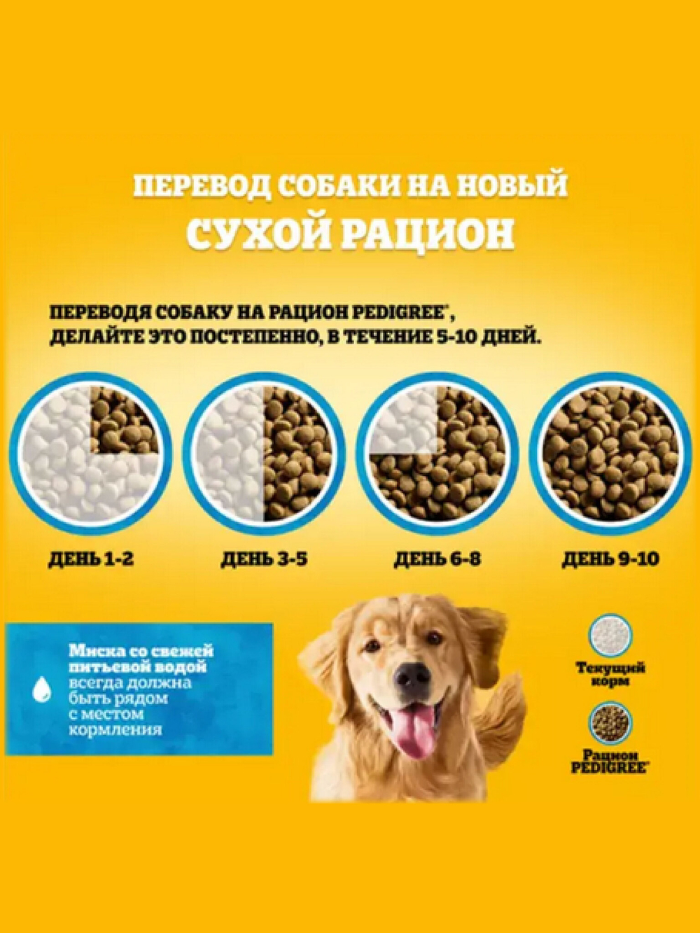 Сухой корм для взрослых собак всех пород. Говядина