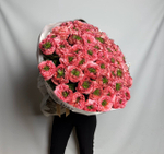 Коралловая любовь