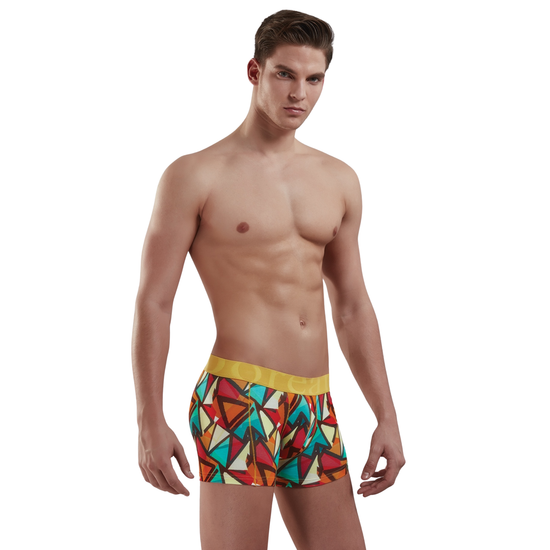 Мужские трусы боксеры мультиколор Doreanse 1873