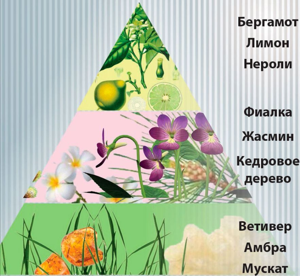 Только ты парфюмерная вода для женщин 55 мл. Новая заря, only you
