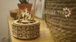 Сборная музыкальная шкатулка Wood Trick Танцующие балерины