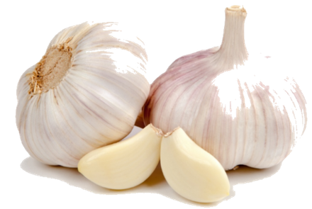 Чеснок Туркмения