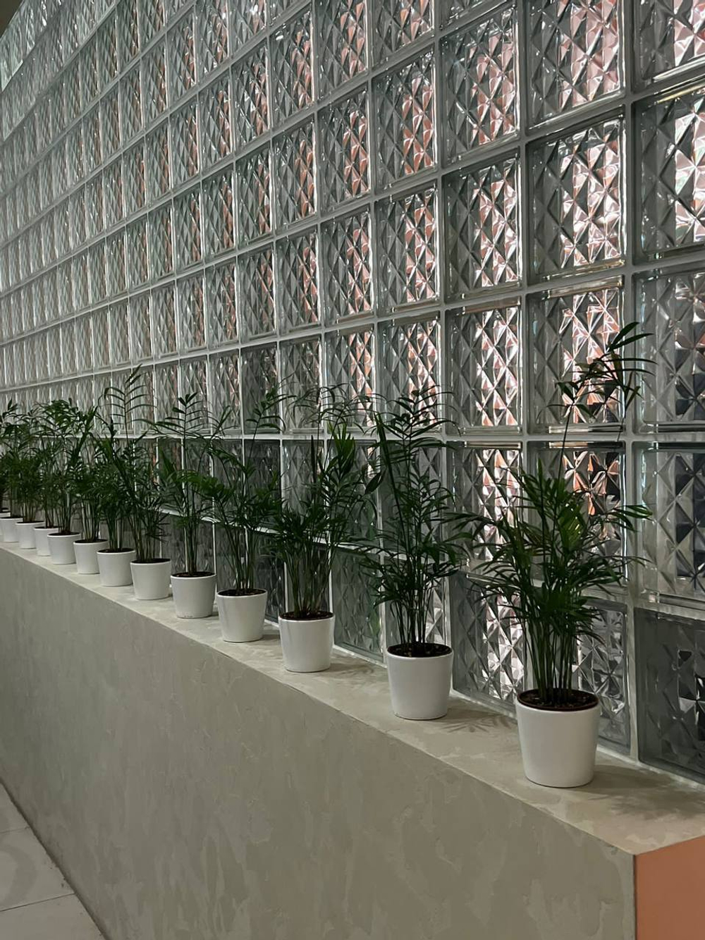 фото  Стеклоблок бесцветный пирамида Vitrablok 19х19х8 в интерьере