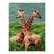 Almaz qaşlarla mozaika \ Алмазная мозаика \ Diamond painting Lori   30*40 cm  "Жирафы"