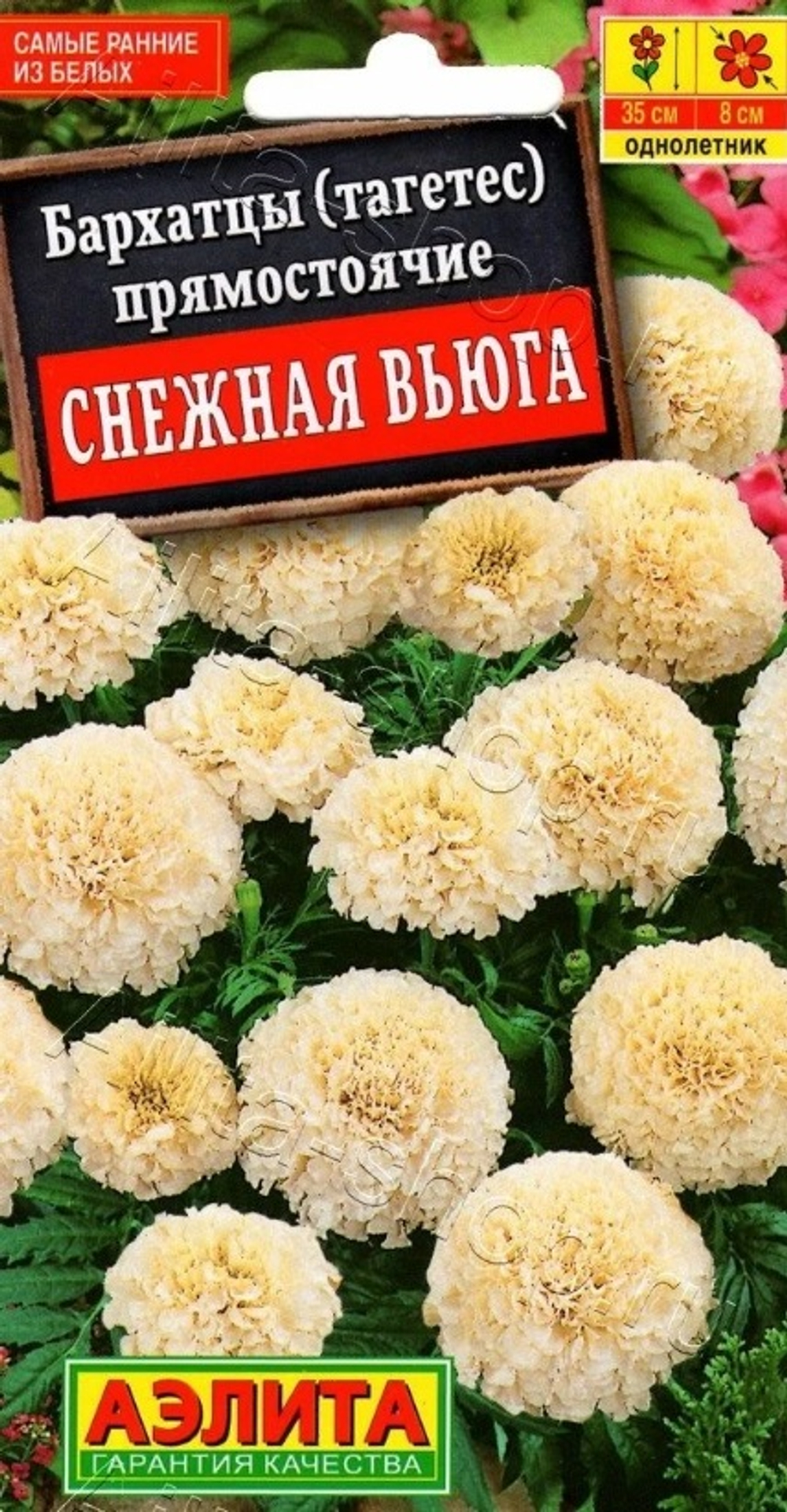 Цв. Бархатцы Снежная Вьюга 7шт (Аэлита)
