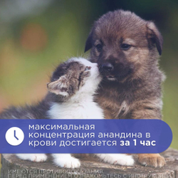 Иммуномодулятор раствор для инъекций АВЗ Анандин 10% для собак, 10 мл