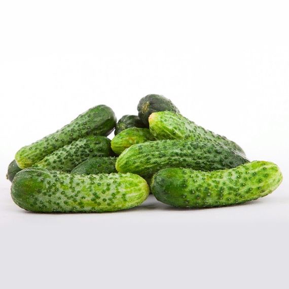 Герман F1 семена огурца (Seminis / ALEXAGRO) купить