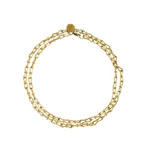 Цепь-трансформер Bant