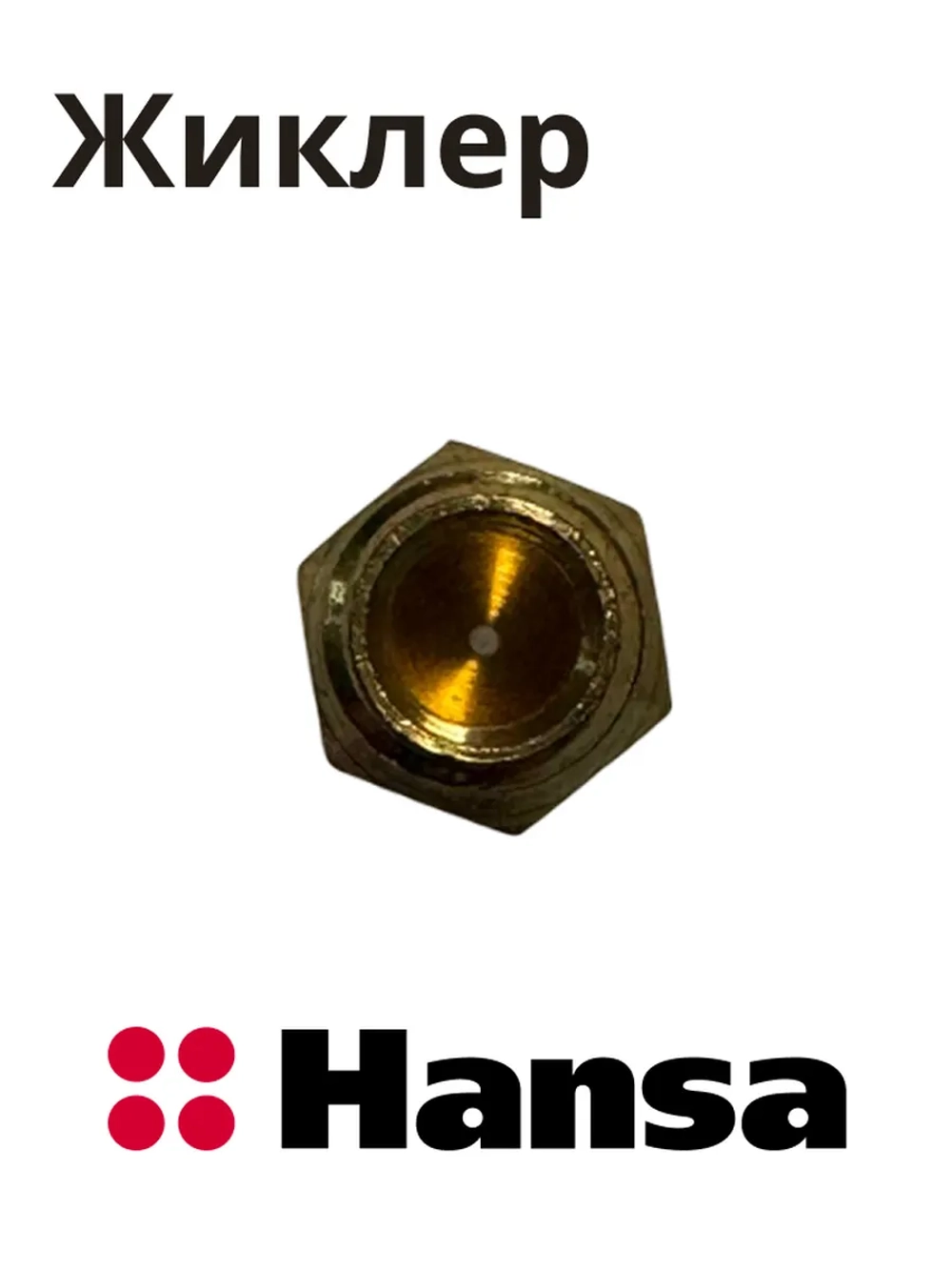 Форсунка 8046854 Hansa
