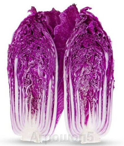 Капуста пекинская Ямада 5шт. (чп)