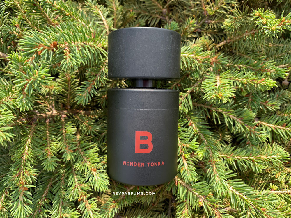 Blood Concept Red Series B Wonder Tonka