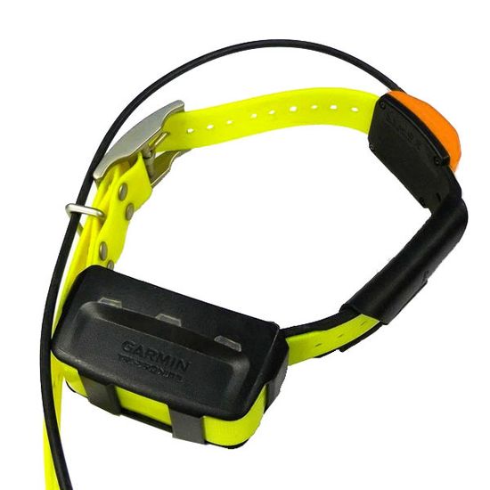 Ошейник Garmin T5X EU-Nordic Европейская версия (010-02755-71)