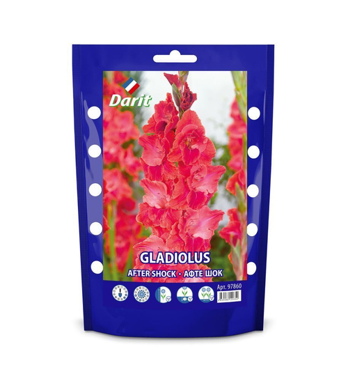 ЛУКОВИЦЫ ГЛАДИОЛУС АФТЕ ШОК 14/+(КРУПНОЦВЕТК.АЛЫЙ)10ШТ 96025