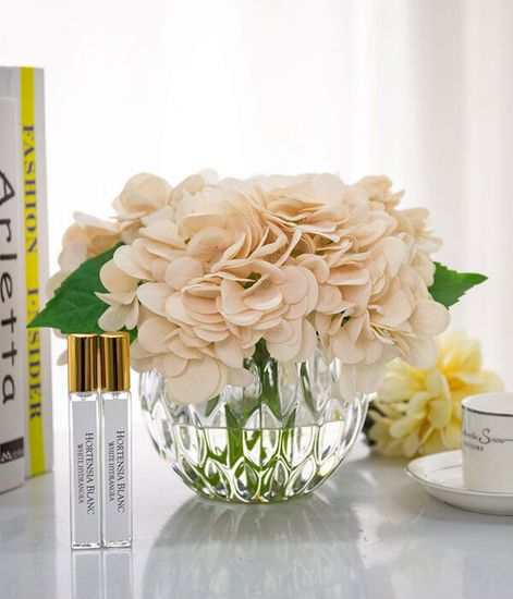 Гортензии цвета шампань, Cote Noire