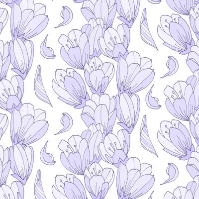 Крокусы на белом фоне