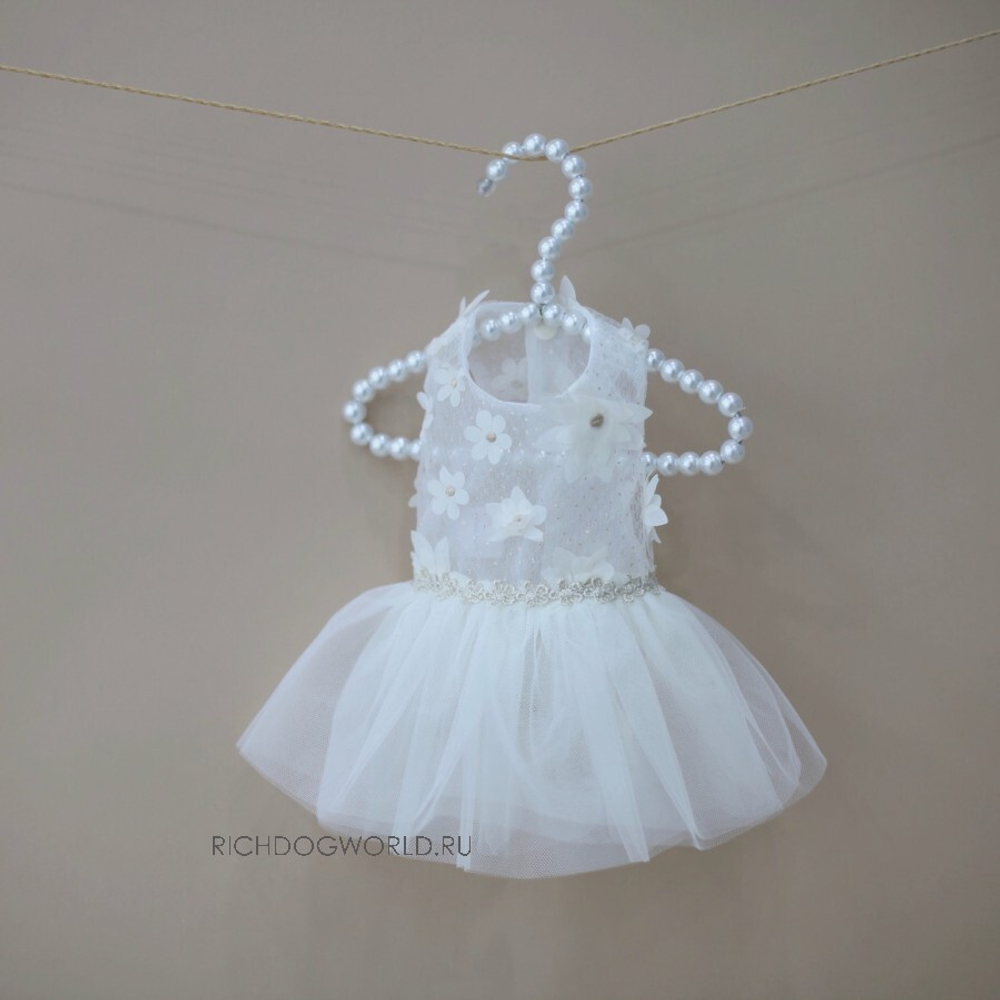 5560 BH Платье нарядное "Watermelon Pants"