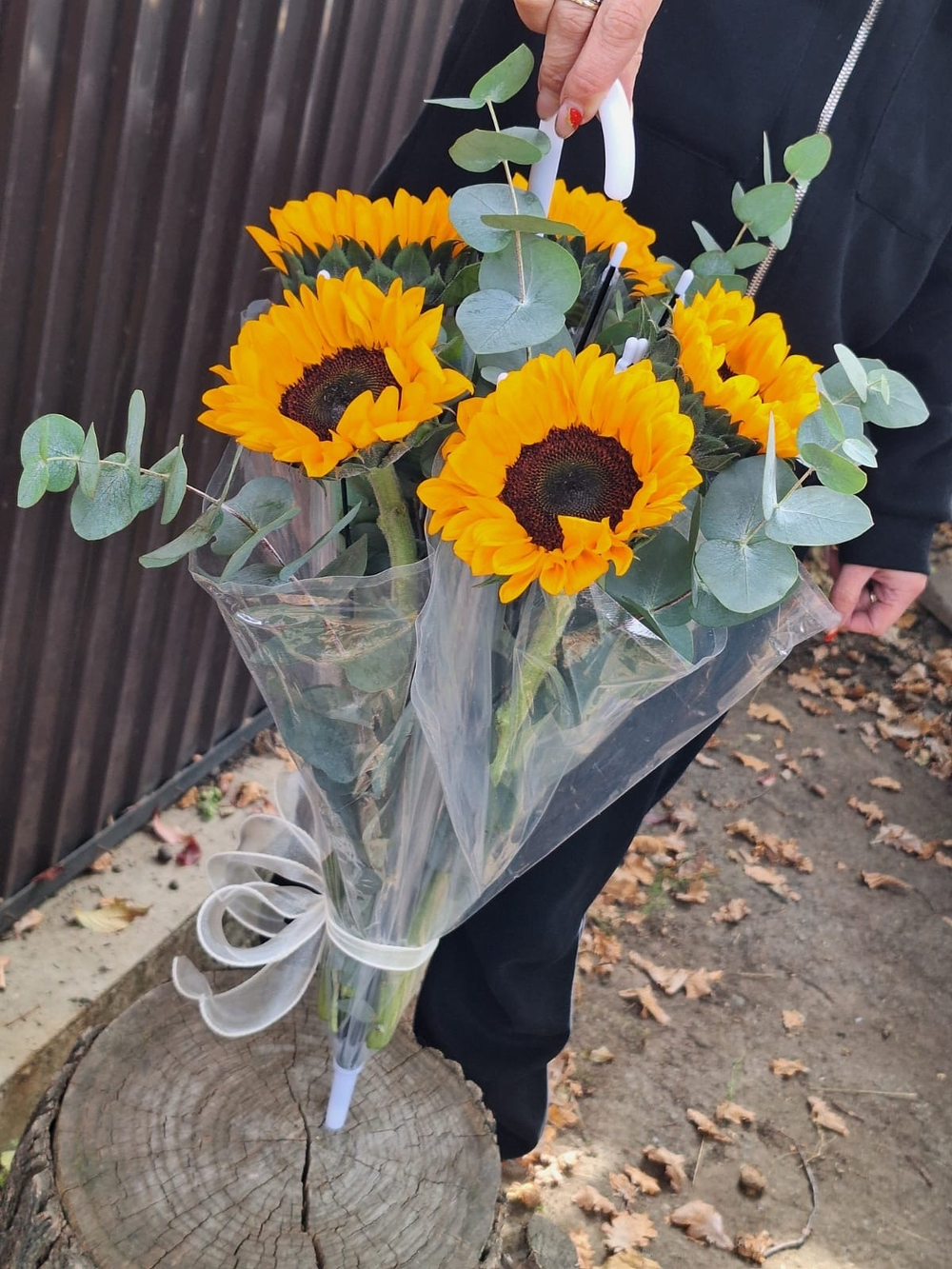 Подсолнухи в зонтике