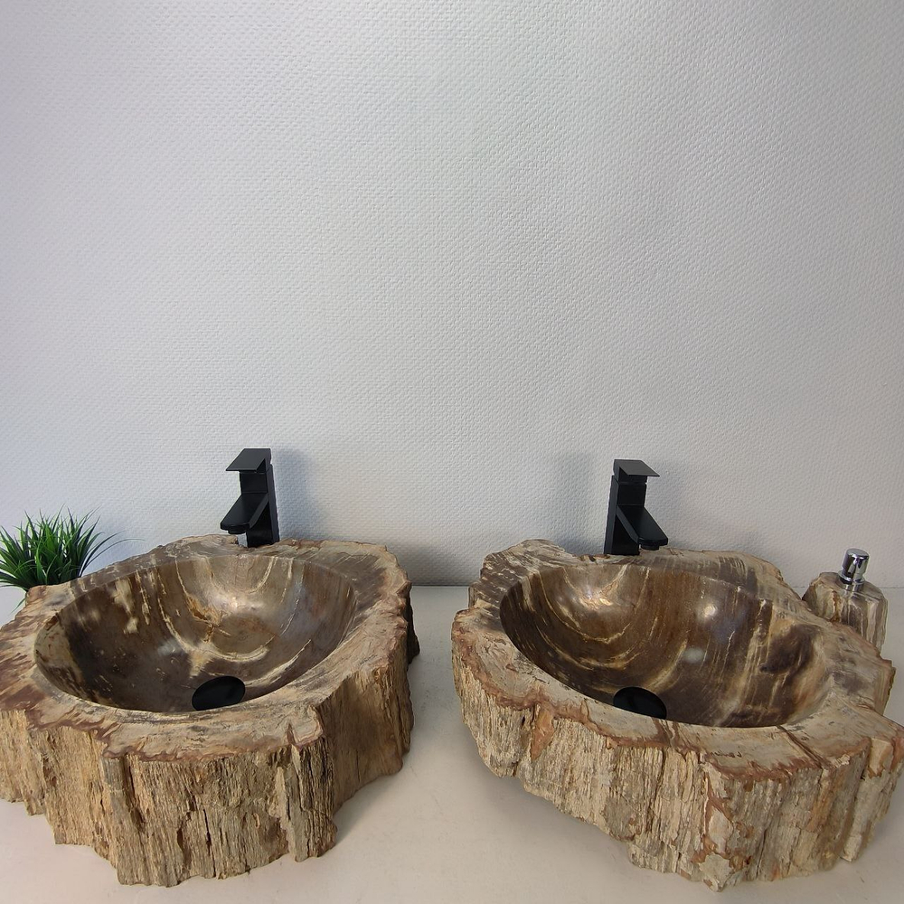 Раковина из окаменелого дерева ПАРА! OD-66073 52*45*15 из натурального камня