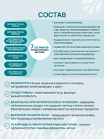 Панбиолакт, 60 капсул Восстановление и поддержание микробиома кишечника. Здоровый иммунитет кишечника