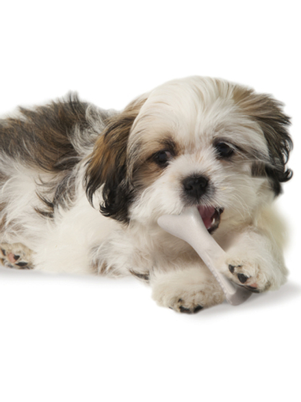 Petstages игрушка для собак Deerhorn, с оленьими рогами 9 см очень маленькая