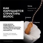 L'Oreal Professionnel Absolut Repair Molecular шампунь для молекулярного восстановления волос, сменный блок, 500мл.