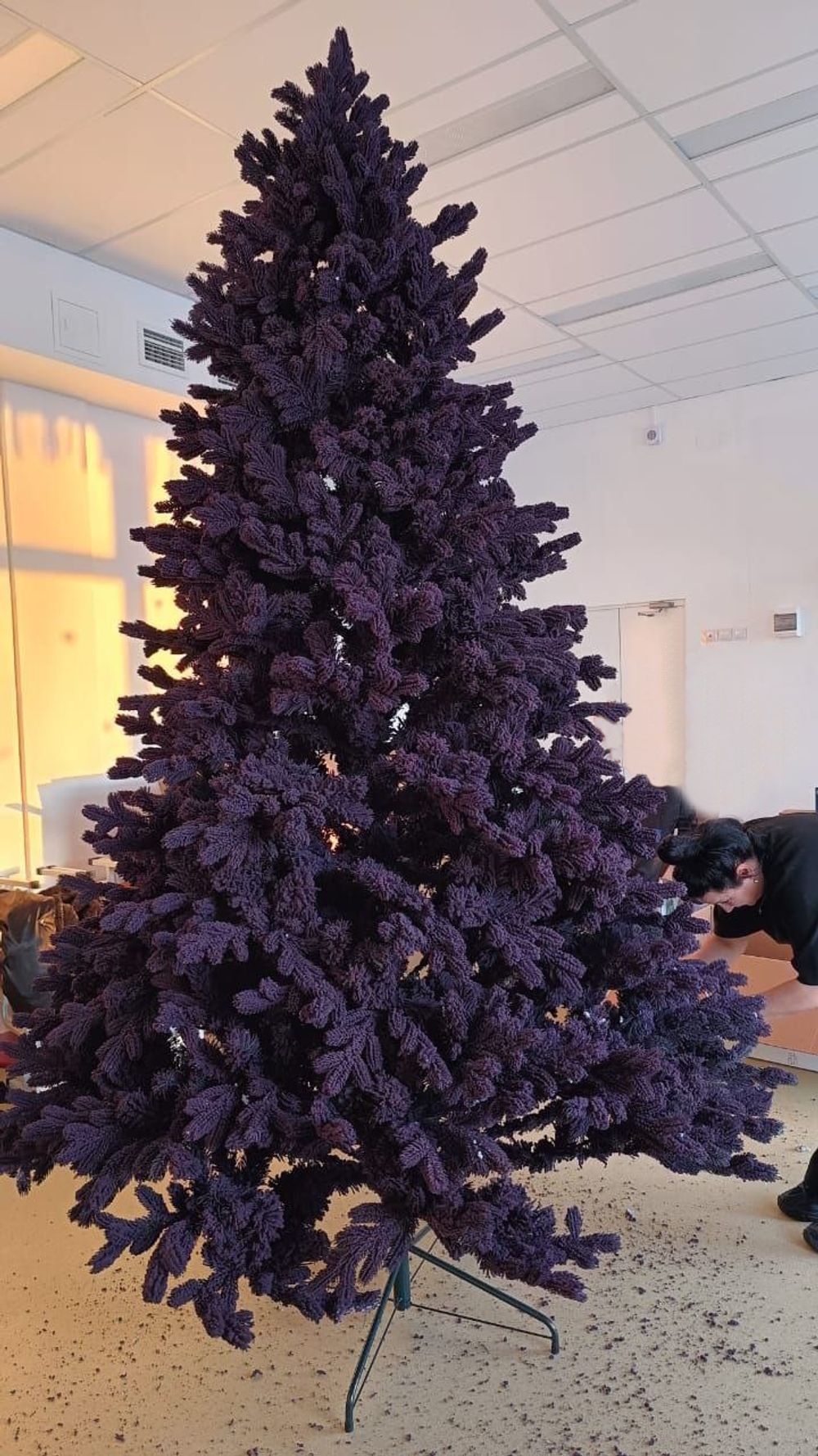 фиолетовая елка заснеженная, высота 3 м