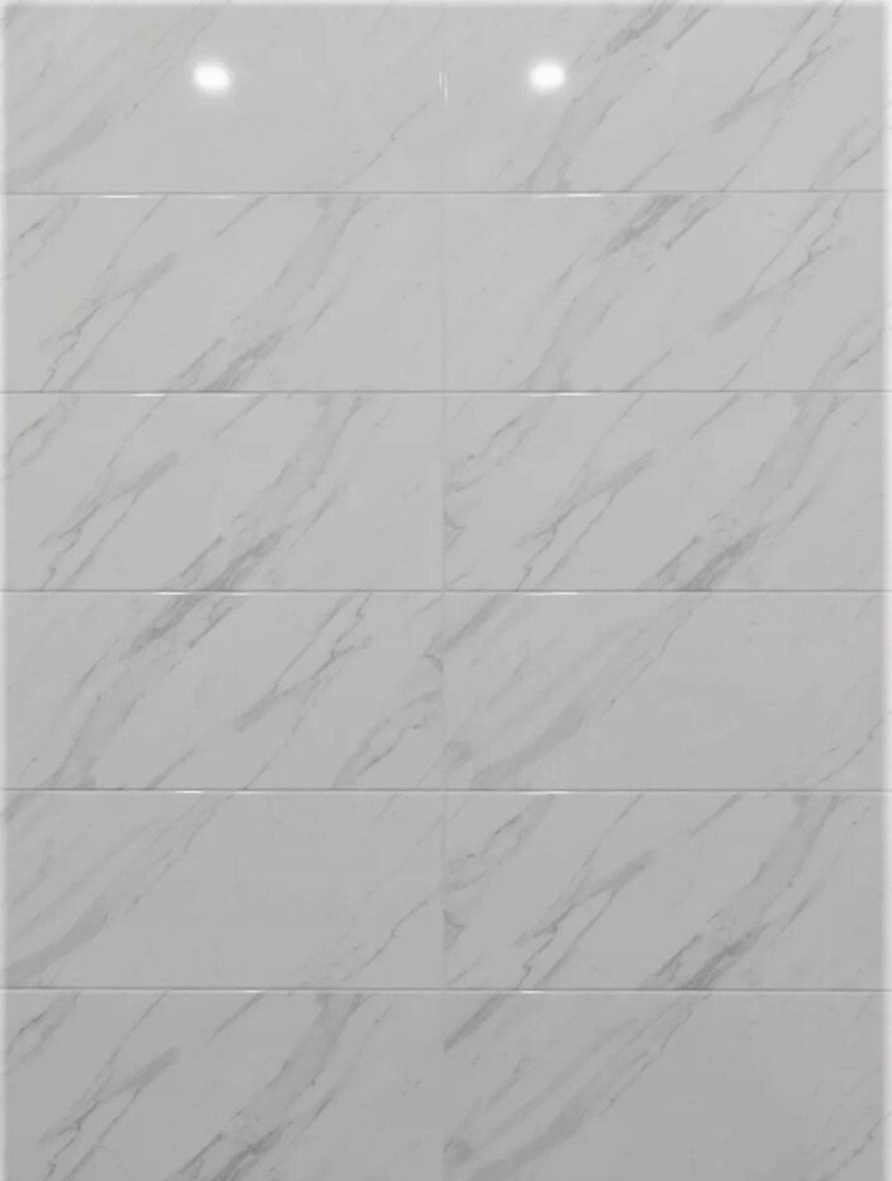 Celia white wall 01 250х600 (1-й сорт)