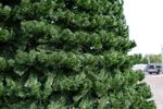 Уличная елка каркасная "Испанская" (пвх) высота от 3 до 30 м