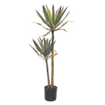 Юкка 2 ствола 120 см