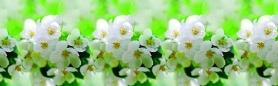 Кухонный фартук ПВХ  0,60*3,00м.