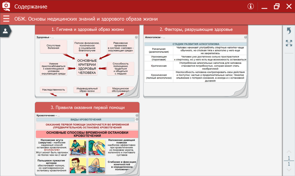 ОБЖ. Основы медицинских знаний и здорового образа жизни. Интерактивное пособие