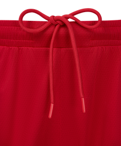 Шорты баскетбольные JÖGEL DIVISION PerFormDRY Shorts R2, красный