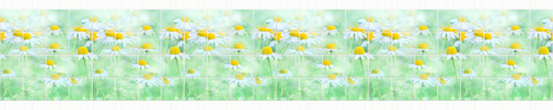 Кухонный фартук Ромашки (Ф-016-2) 3000х600 мм