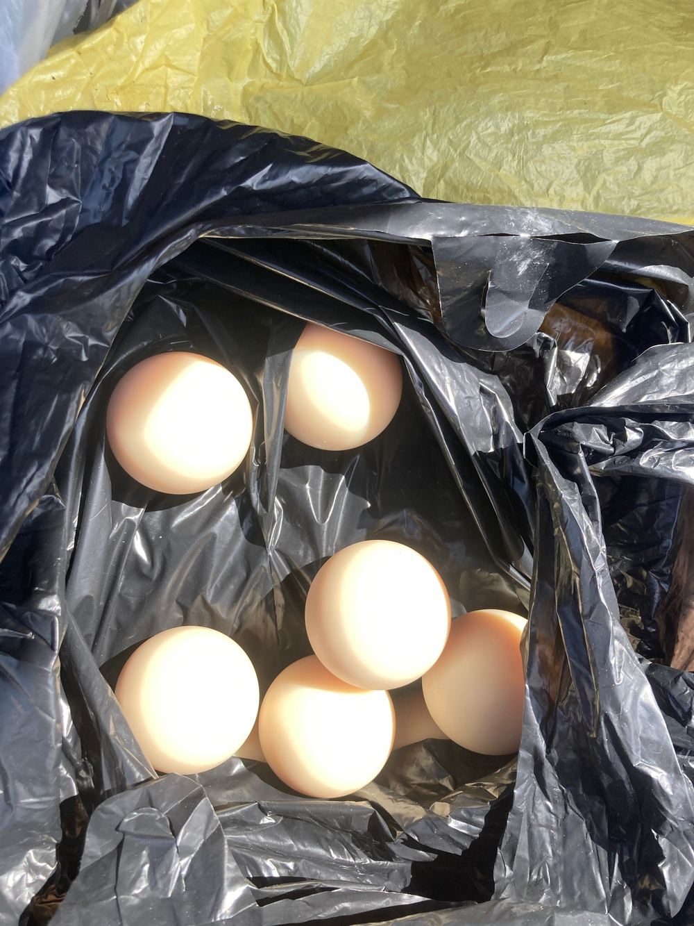 капролон стеклонполненный Шар