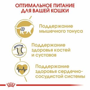 Уценка! Повр.упак. / Сухой корм Royal Canin British Shorthair Adult для взрослых британских короткошерстных кошек