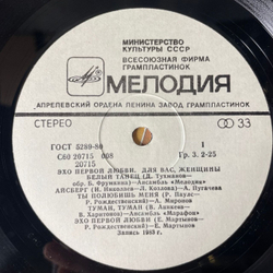 Винтажная виниловая пластинка LP Сборник Эхо Первой Любви (СССР 1984) (Алла Пугачева Айсберг, Мартынов, Миронов и др)