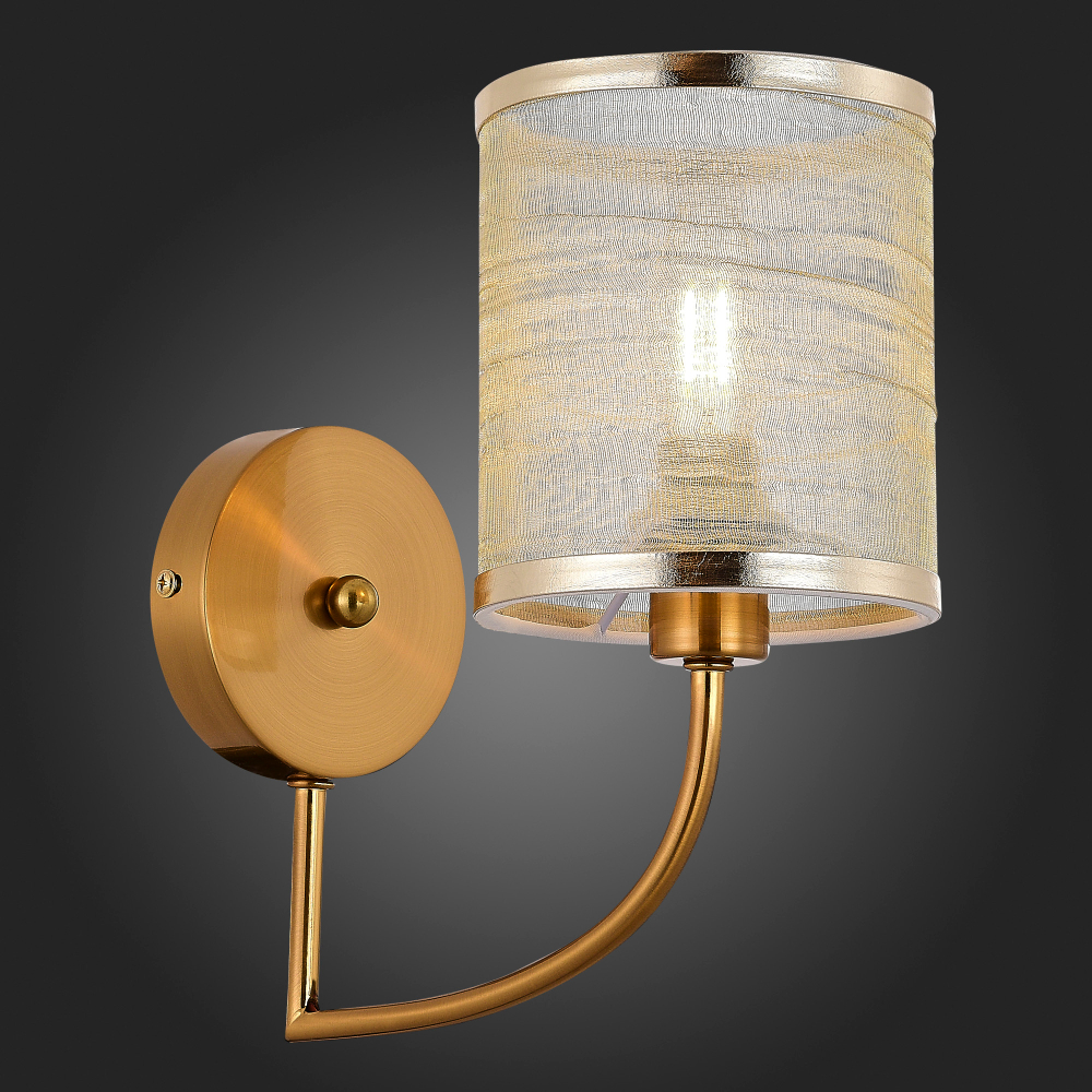 Светильник настенный Evoluce Ellisse SLE1119-301-01