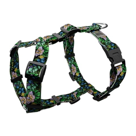 Шлейка Кладовая Солнца