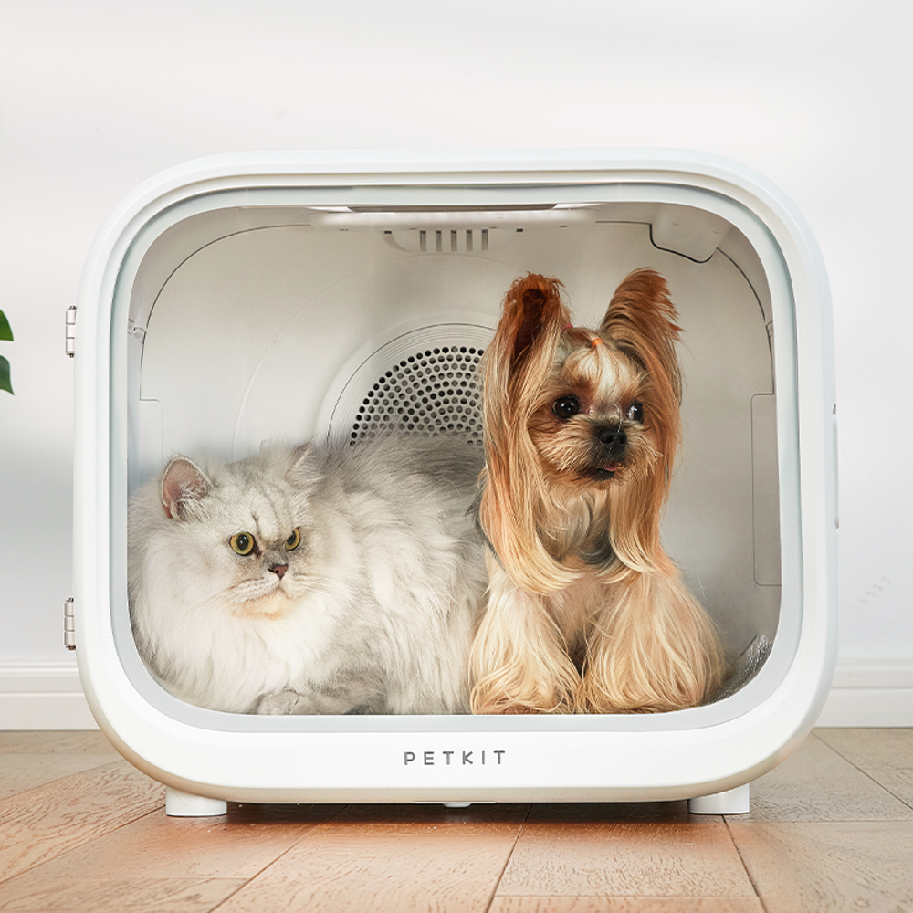 Автоматическая сушка для кошек и собак Airsalon Max