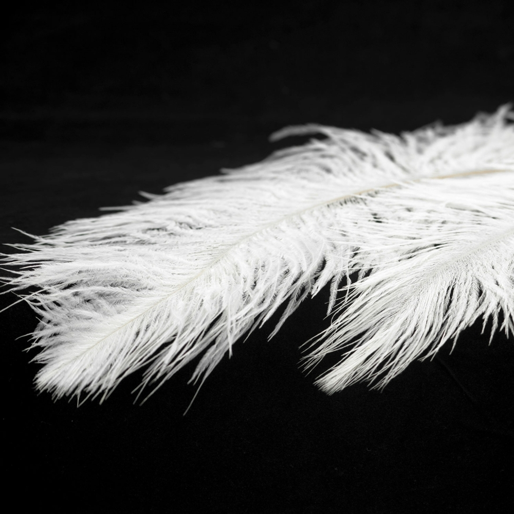 Подвесная люстра Lussole Cuscino GRLSP-8600