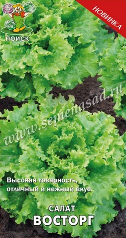 Салат Восторг 1гр Поиск