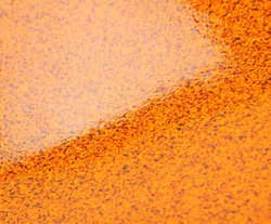 Блюдо декоративное керамическое в центр стола Africa от S. Bernardo из Португалии