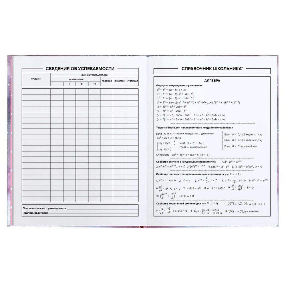 Дневник школьный 48л "Бесконечность-2" (Феникс+)