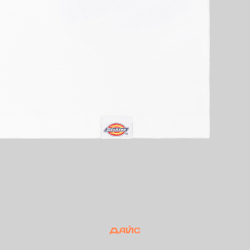 Футболка мужская Dickies Companion Center Logo